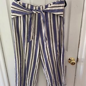 Size 12 Express Capris